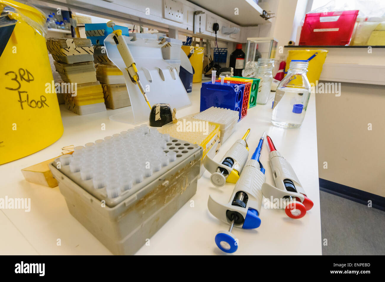 Pipettes On The Bench Of A Cancer Research Laboratory Stock Photo