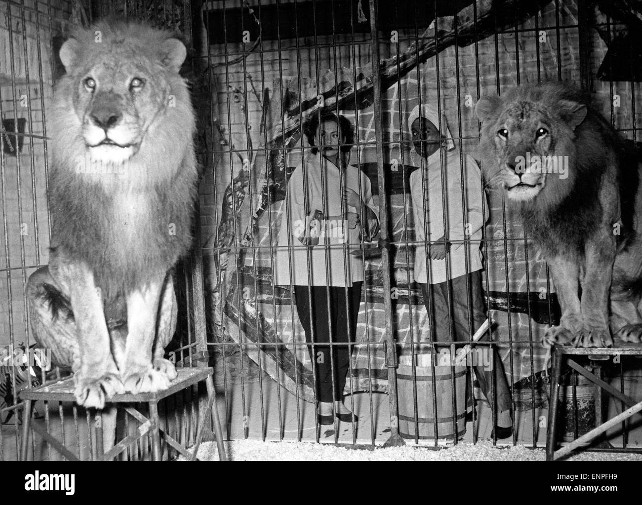 Cuba Cabana, aka: Wenn&amp;#39;s auch Sünde war, Deutschland 1952, Regie: Fritz ...