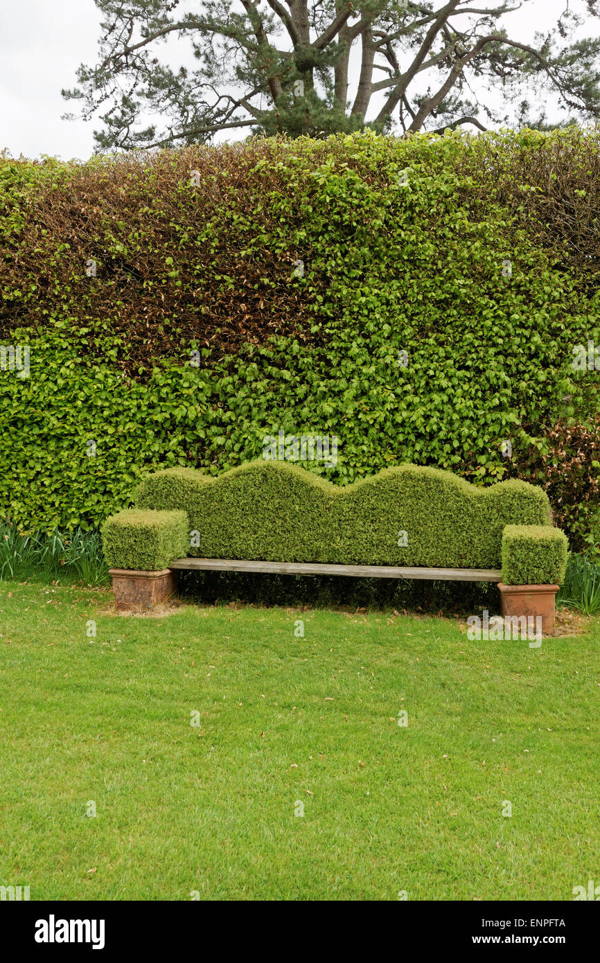 Topiary garden seat backed by beech hedging. Stock Photo