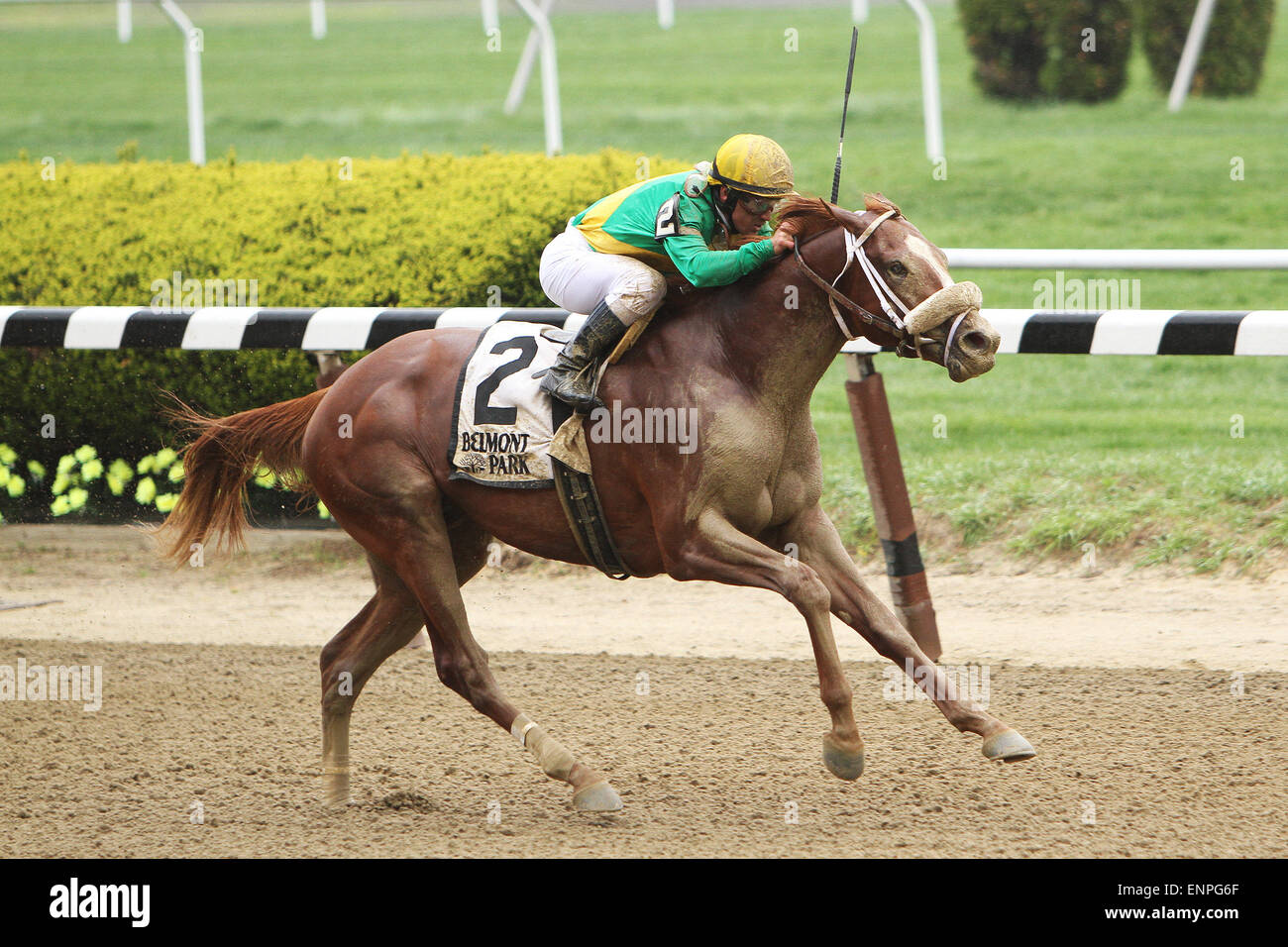 Elmont, New York, USA. 9th May, 2015. May 9 2015: Madefromlucky with Javier Castellano win the 61st running of the Grade II Peter Pan Stakes for 3-year olds going 1 1/8 mile at Belmont Park. Trainer Todd Pletcher. Owner Cheyenne Stables & Nichol Mac. Sue Kawczynski/ESW/CSM/Alamy Live News Stock Photo