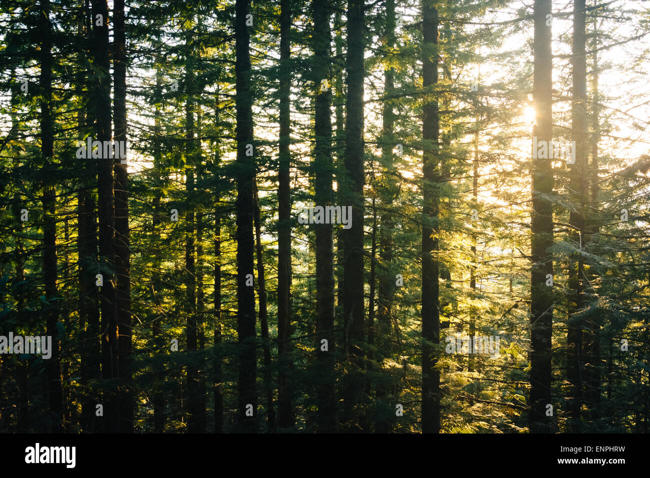 Mirror lake trail hires stock photography and images Alamy