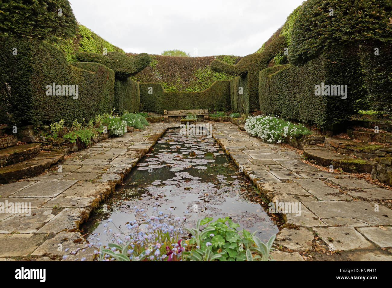 Pond surrounded by topiary and hedging. Stock Photo
