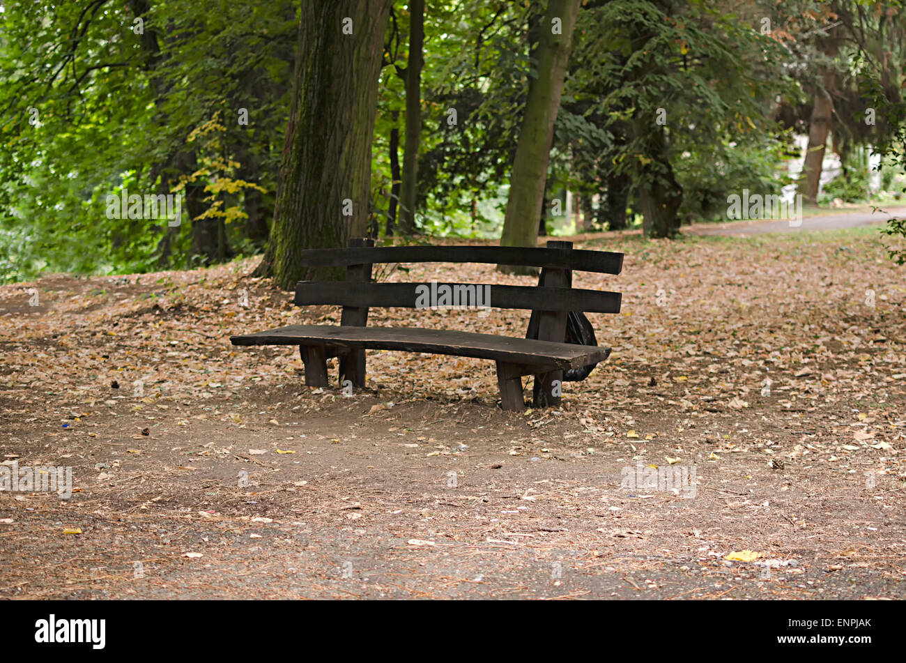 Old Park Bench Stock Photo 82246603 Alamy