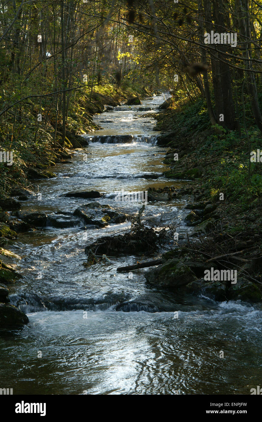 A small stream, Ligistbach, in the village of Ligist, Steiermark, southern Austria Stock Photo