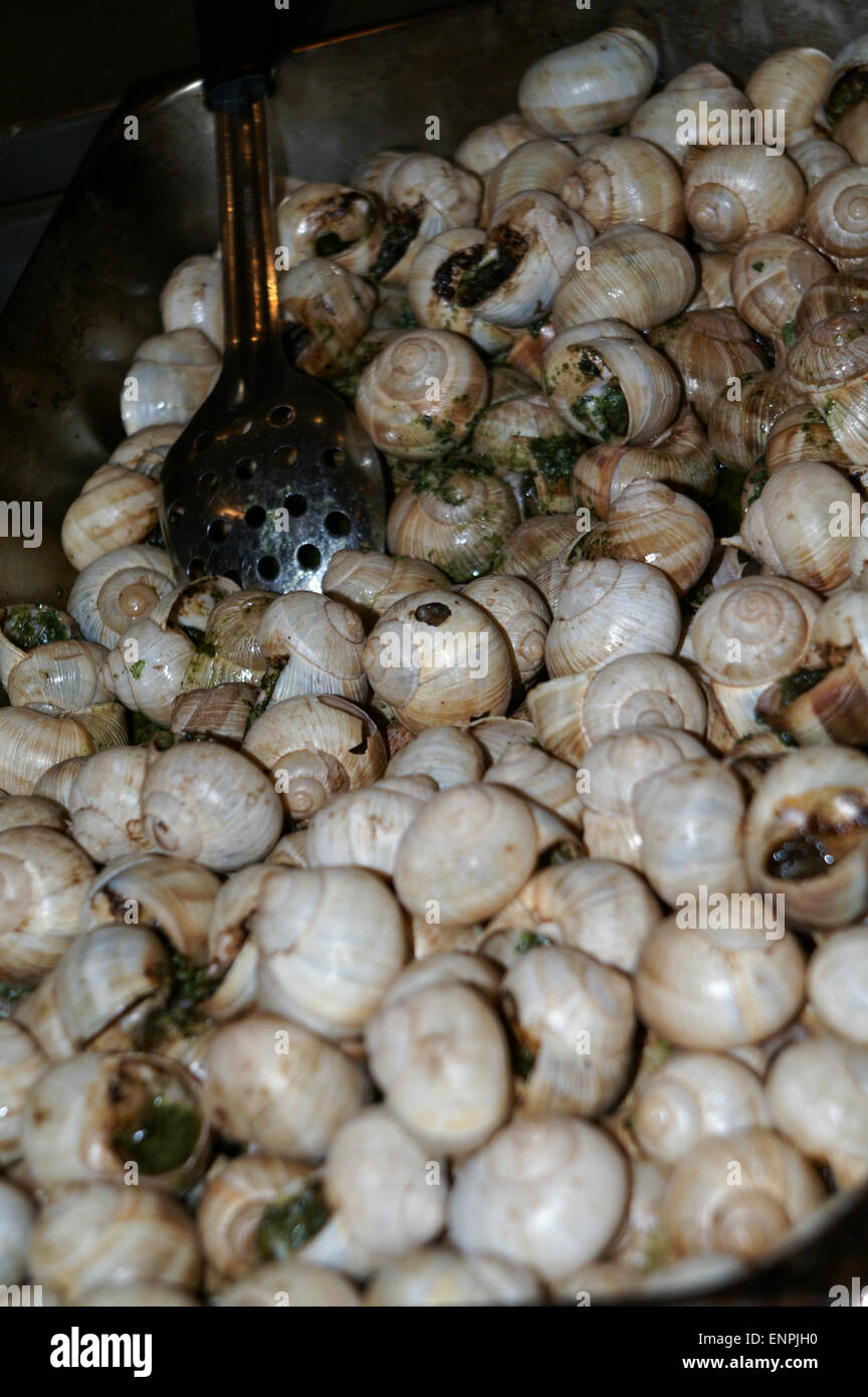 Snails being cooked, France Stock Photo Alamy