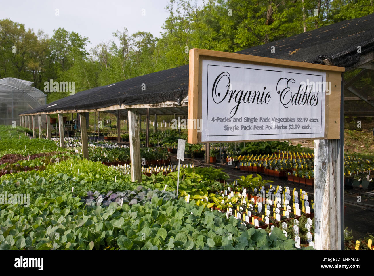 Organic herbs and vegetables plants for sale at a nursery in New York State Stock Photo Alamy