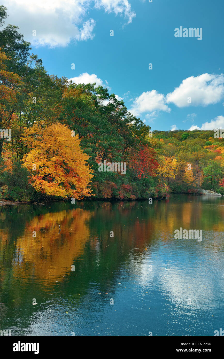 Autumn colorful foliage with lake reflection Stock Photo - Alamy