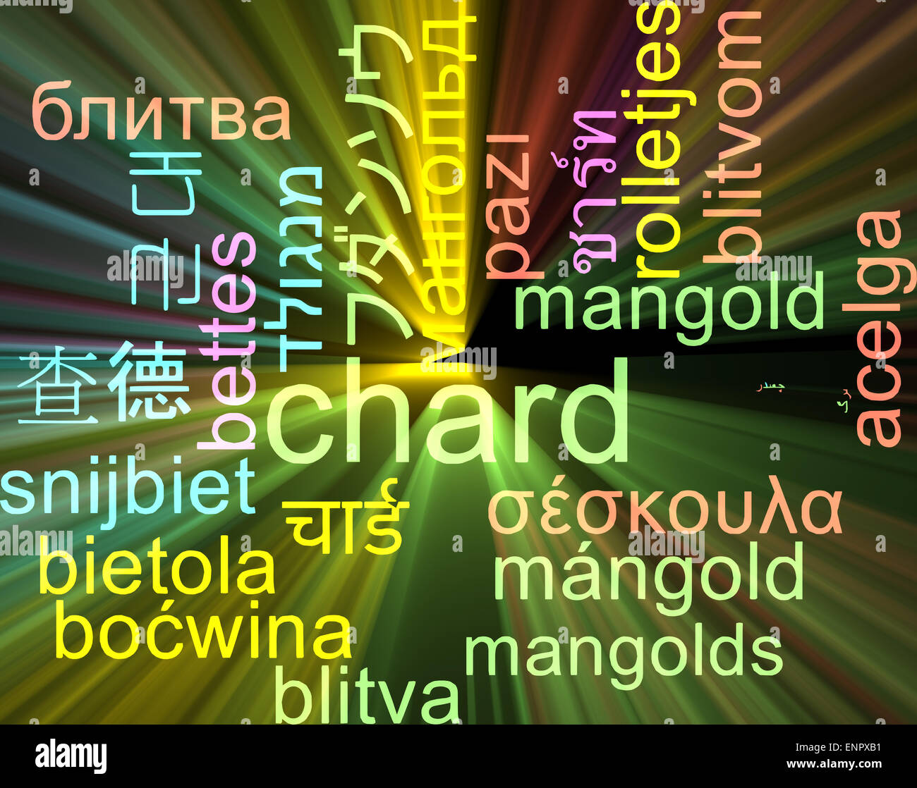 Background concept wordcloud multilanguage international many language ...