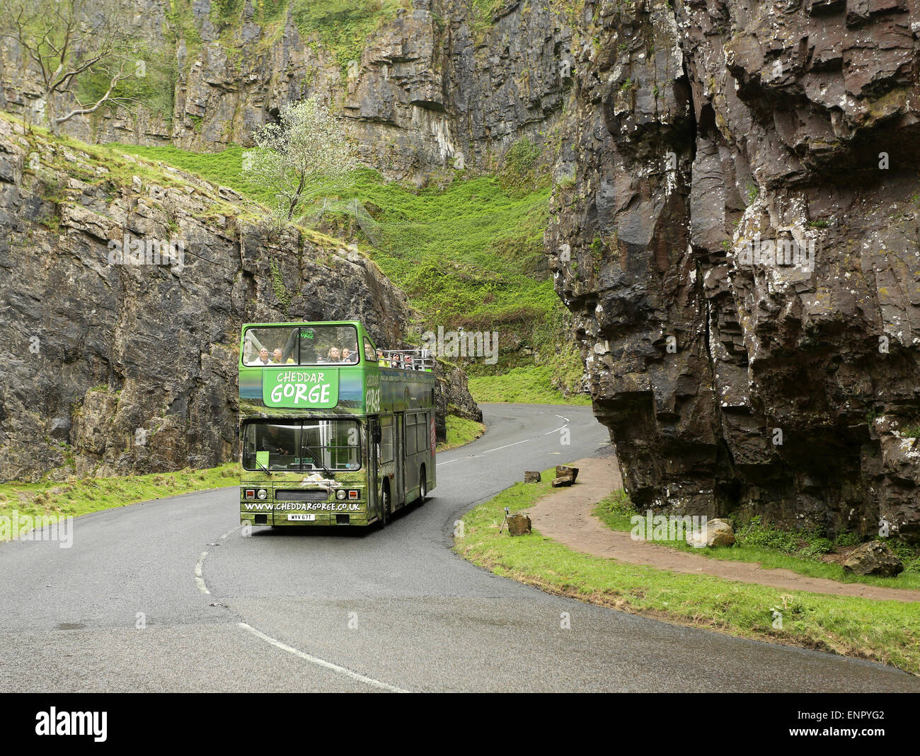 Open top tourist bus in Cheddar Gorge, Somerset. 3rd May 2015 Stock Photo