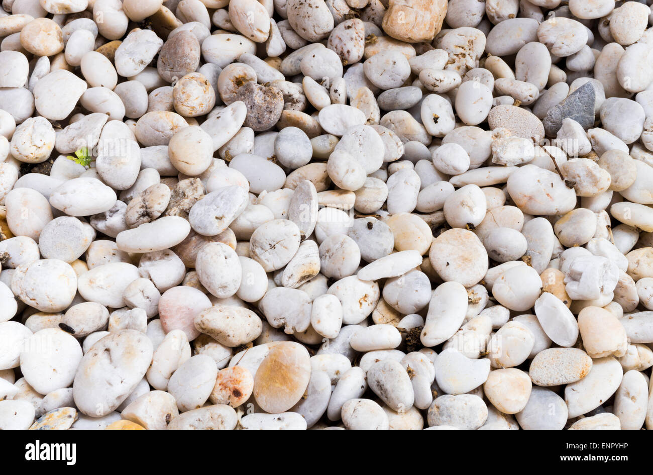 Circle pattern in white hi-res stock photography and images - Alamy