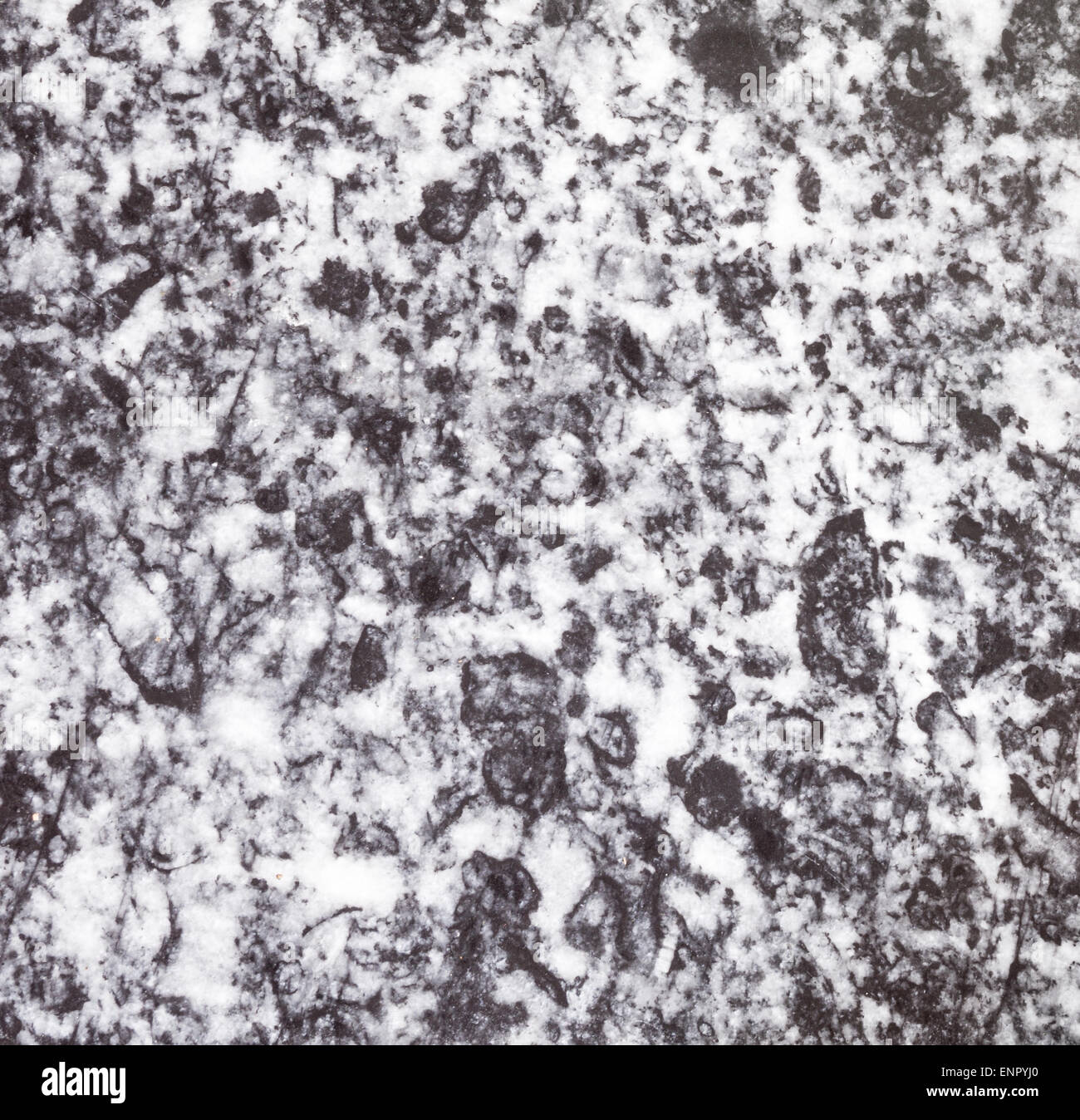 Black and White Marble Texture in Bathroom Stock Photo