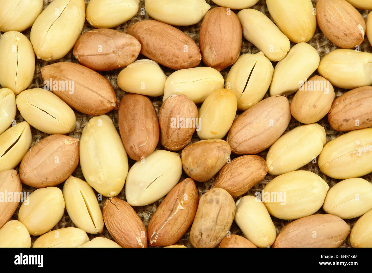 Peanut Texture Stock Photo