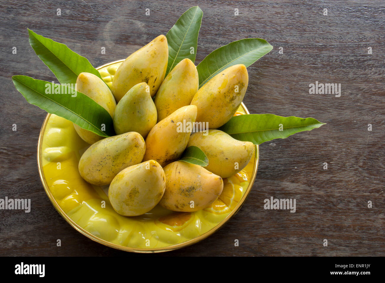Wet mango leaves hires stock photography and images Alamy