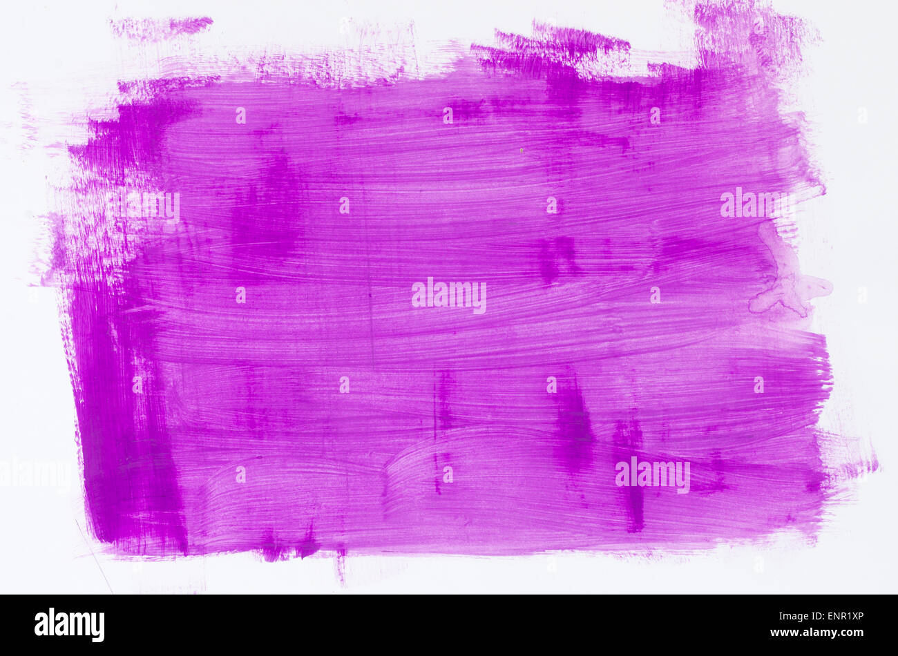violet watercolor painting texture on white background Stock Photo