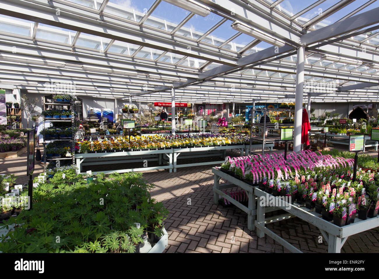 Hayes garden world centre ambleside hires stock photography and images