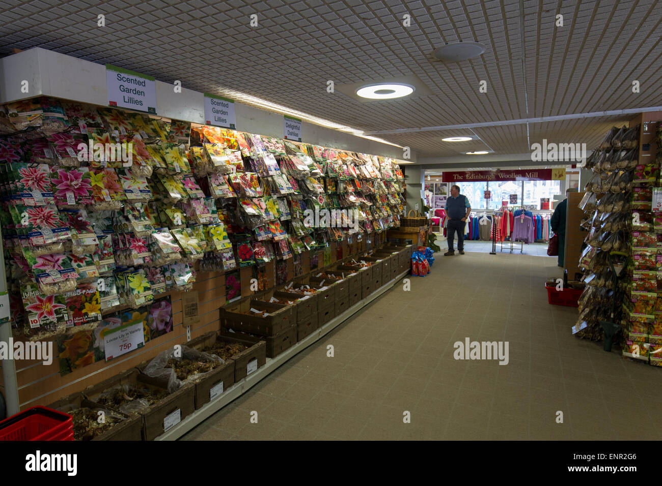 Hayes Garden World  Centre Ambleside Cumbria Lake District Stock Photo