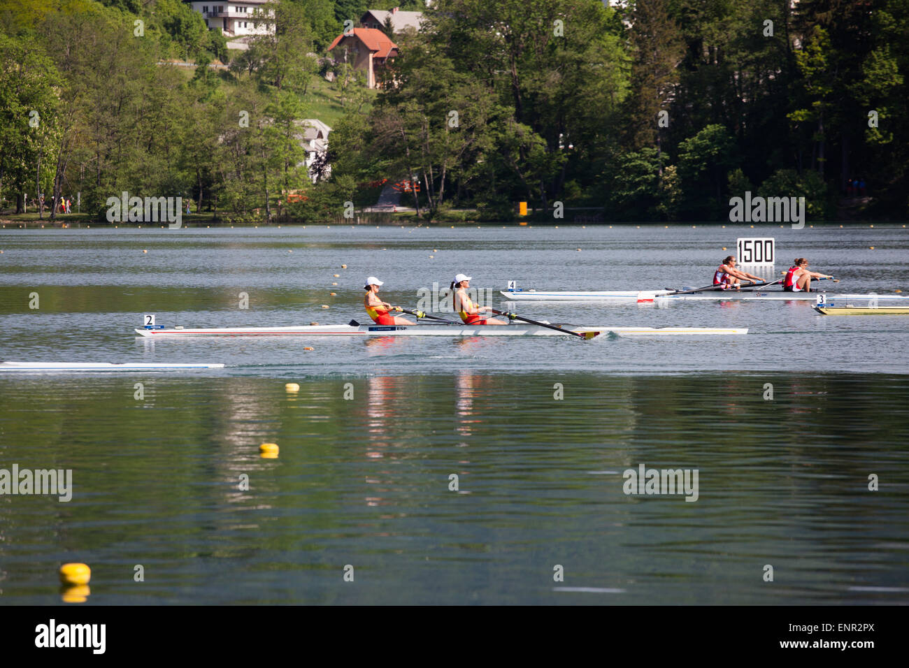 Lake Bled, Slovenia. 10th May, 2015. Team Spain  (Nuria Dominguez and Anna Boada), and team Poland (Anna Wierzbovska and  Maria Wierzbovska) during heat race of woman pair rowing on World Rowing Cup on lake Bled. Credit:  Nejc Trpin/Alamy Live News Stock Photo