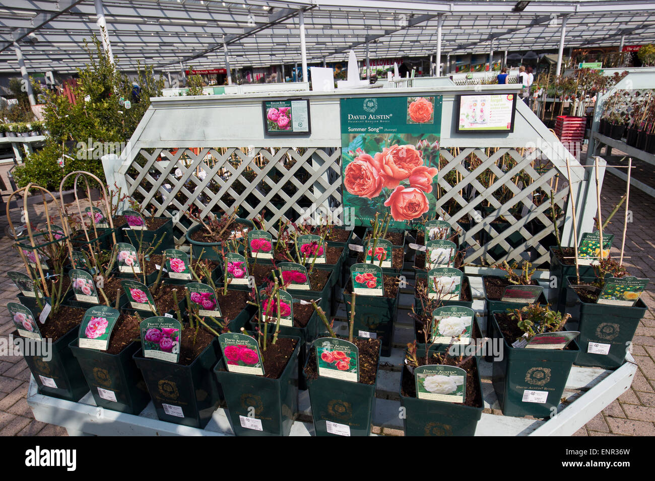 Hayes Garden World Centre Ambleside Cumbria Lake District Stock Photo Alamy