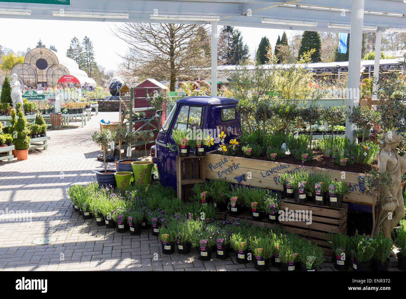Hayes Garden World Centre Ambleside Cumbria Lake District Stock Photo