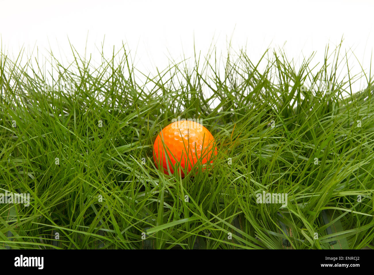 golf ball in the rough Stock Photo Alamy