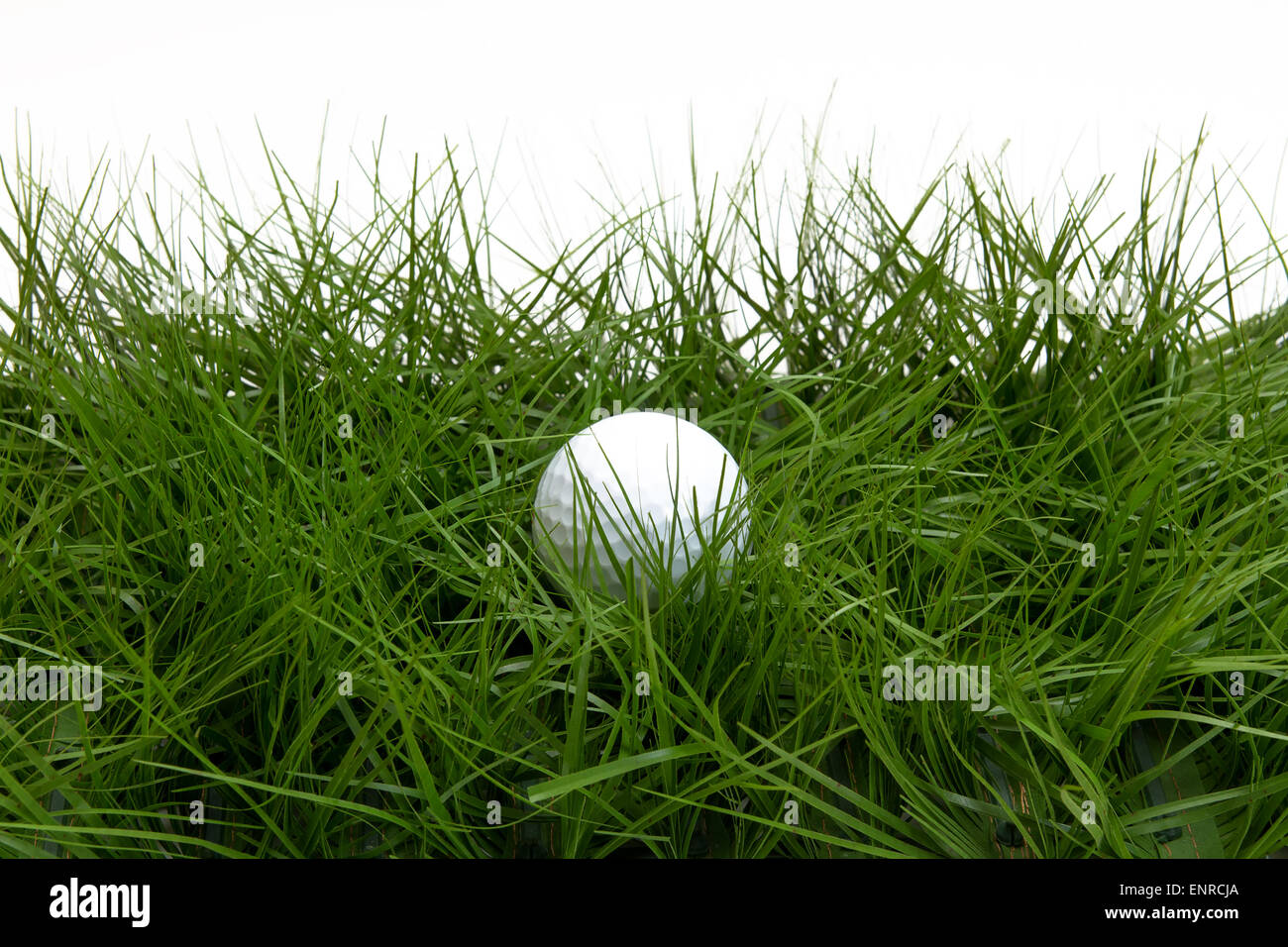 golf ball in the rough Stock Photo Alamy