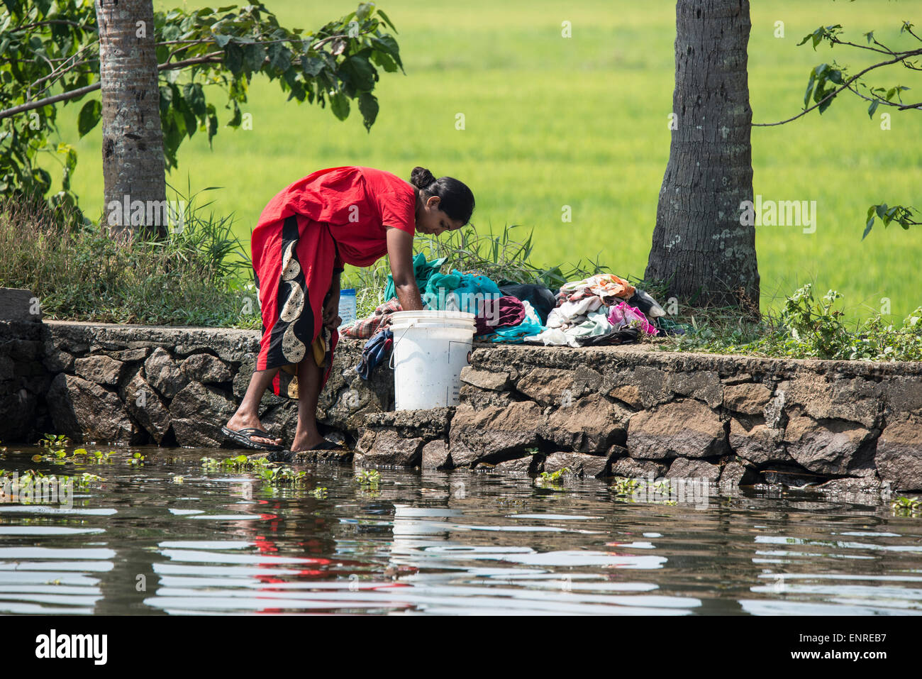 https://c8.alamy.com/comp/ENREB7/a-villager-washing-her-laundry-in-the-backwaters-of-kerala-in-south-ENREB7.jpg