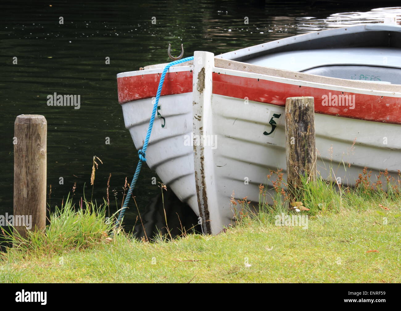 Rowing boat in water at grass field Stock Photo