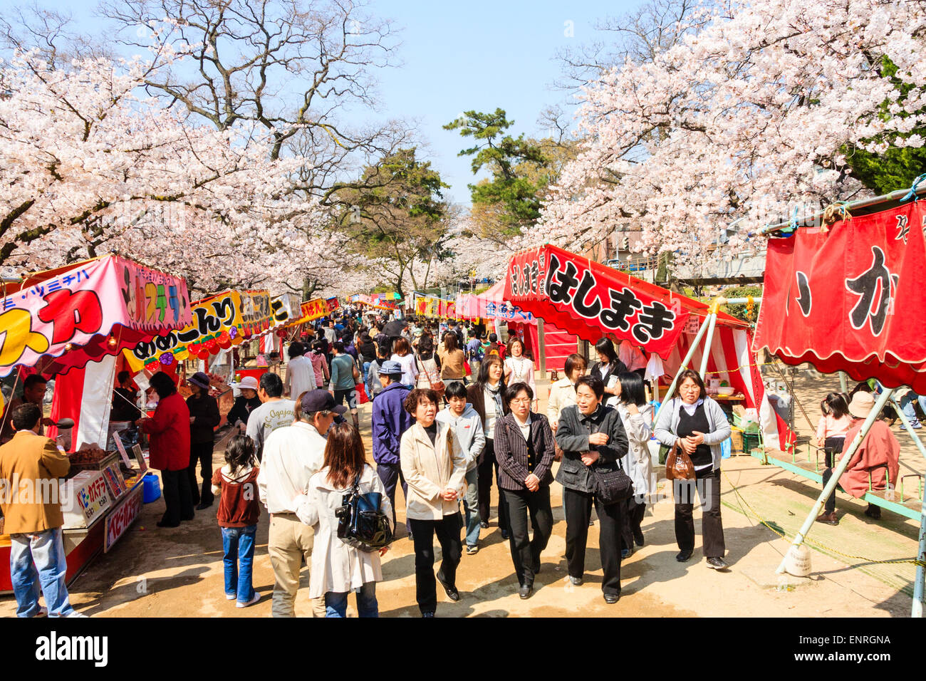 Crowds of people walking along the river bank between two rows of food and games stalls under the springtime cherry blossom festival in Japan. Stock Photo