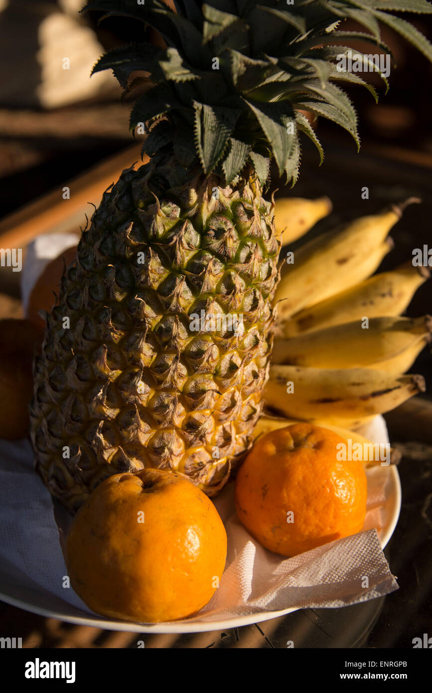 Mixed fresh fruit of a pineapple, Mandarin oranges and small bananas