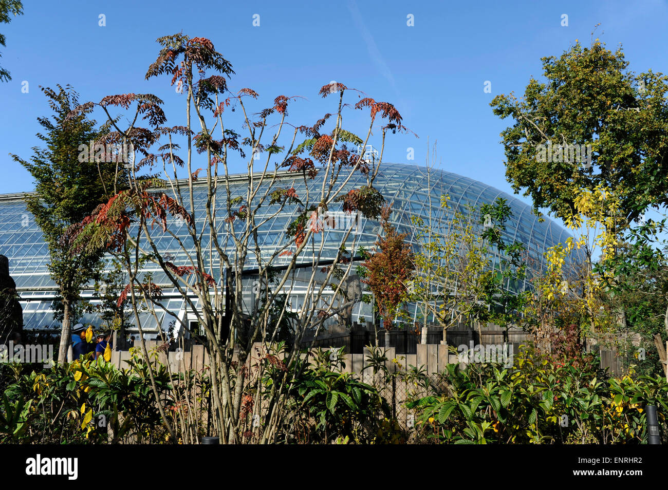 Large greenhouse,Zoo de Vincennes,zoological park of Paris,France Stock