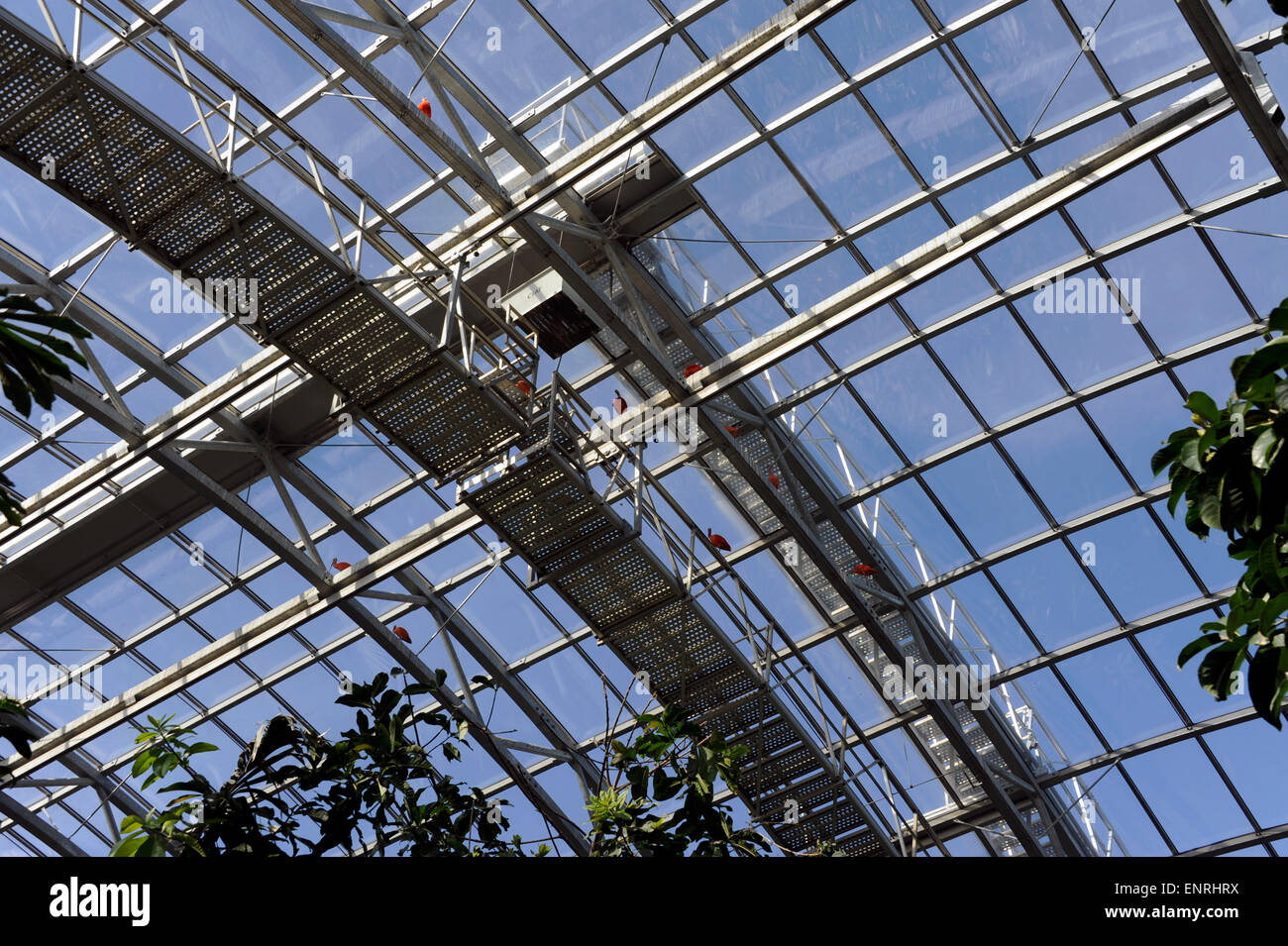 Large greenhouse,Zoo de Vincennes,zoological park of Paris,France Stock