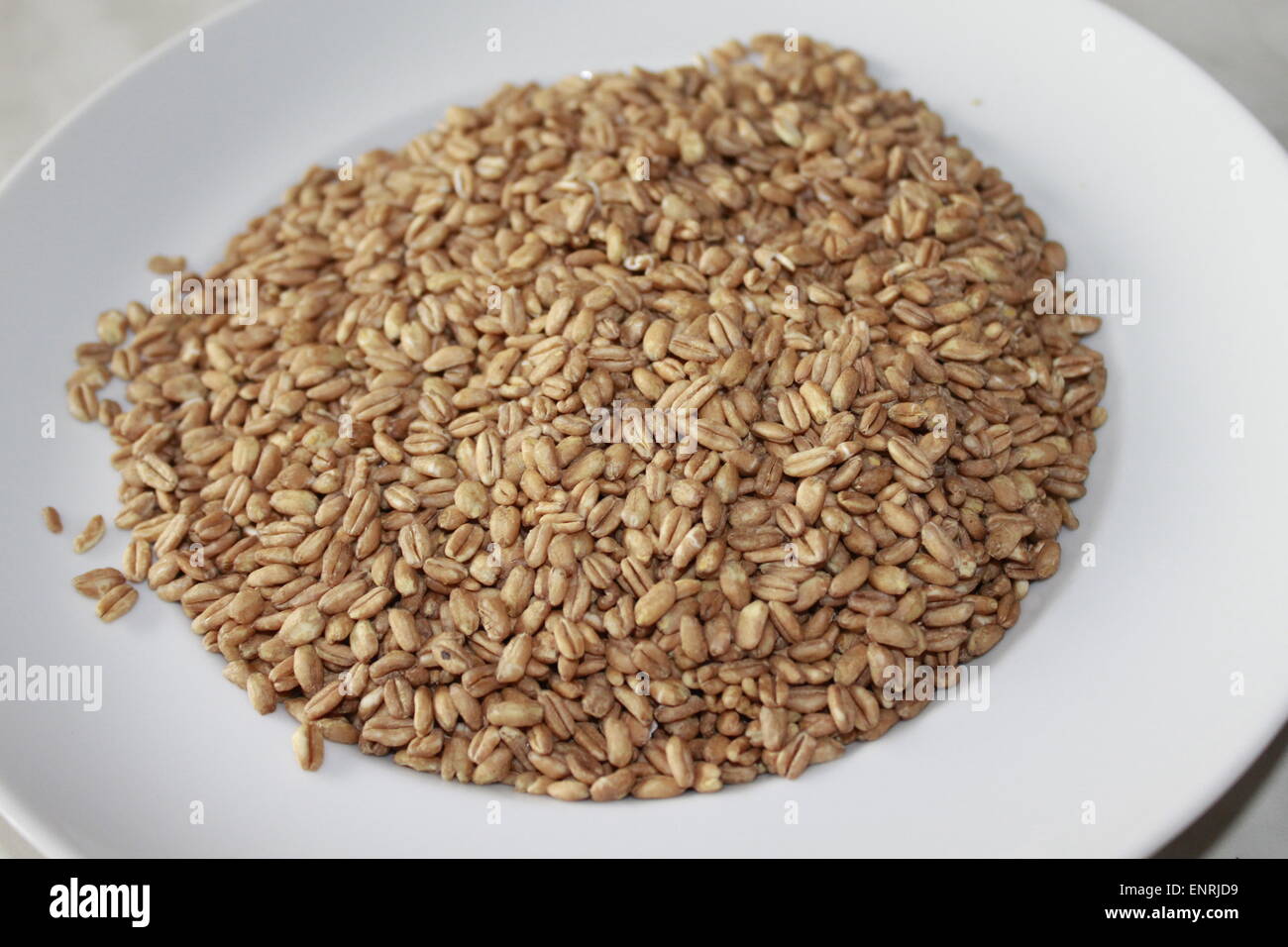 grain of farro raw Stock Photo Alamy