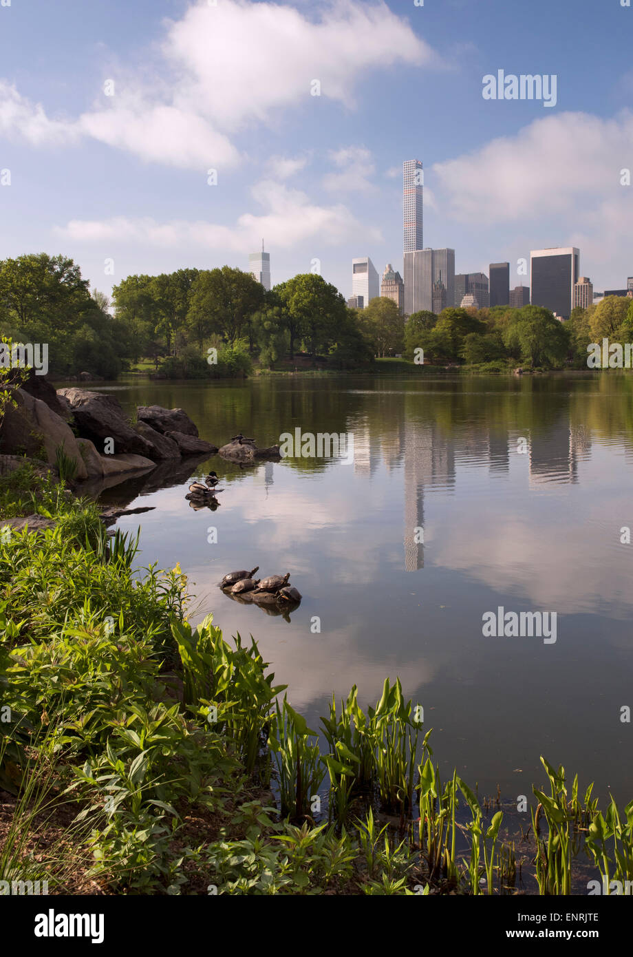 New york central park spring hi-res stock photography and images - Alamy