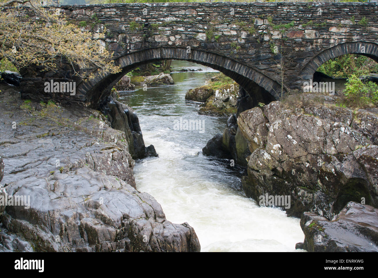 Pont-y-Pair bridge, River Llugwy (Afon Llugwy), Betws-y-Coed, Clwyd, Wales, UK. Stock Photo