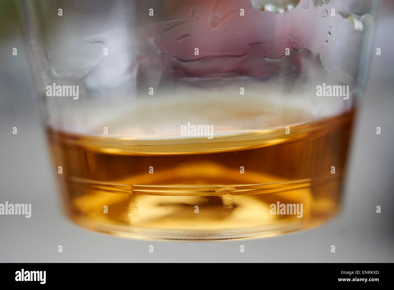Whiskey sample in a plastic cup Stock Photo