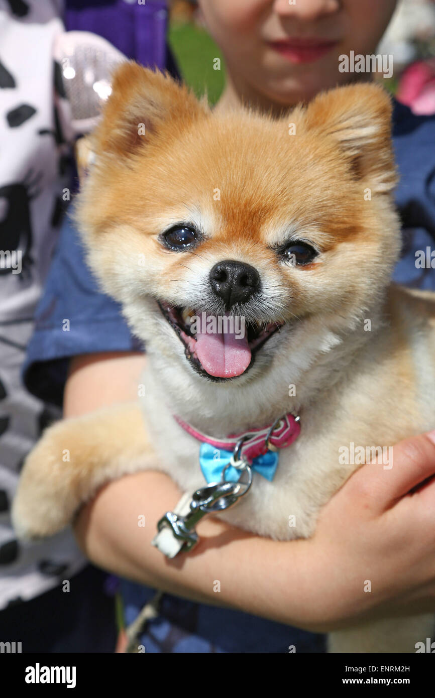 Teacup rescue 2025