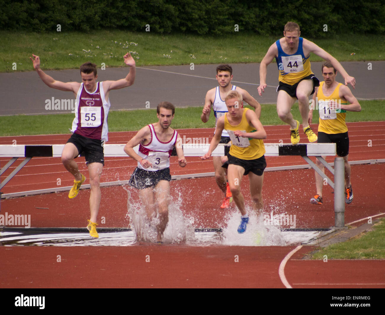 Athletes take on the water jump during a steeplechase race Stock Photo