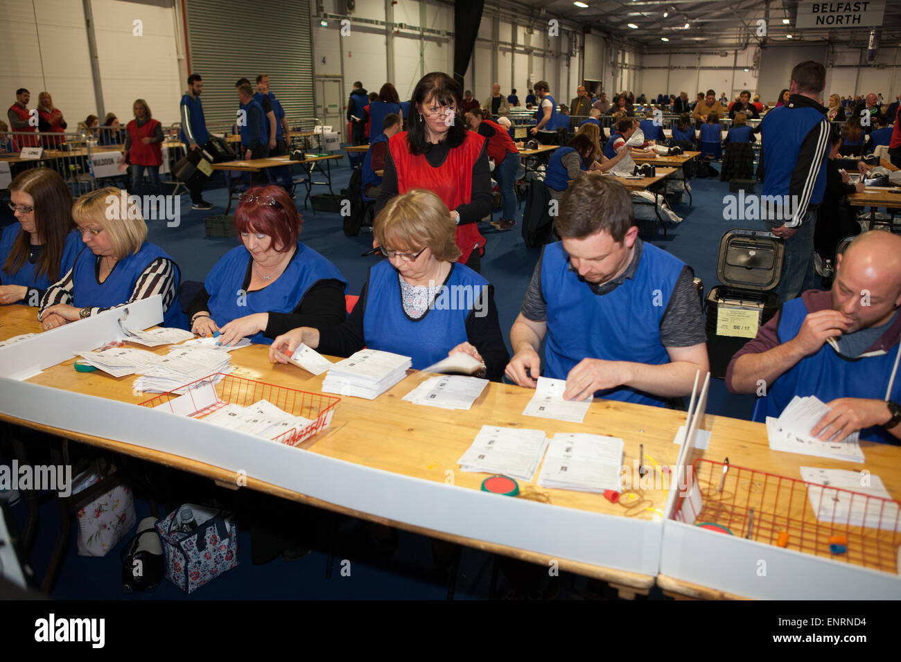 Belfast UK. 7th May 2015 General Election: Electoral Staff counting votes for the seat of Belfast East in the UK Election Stock Photo