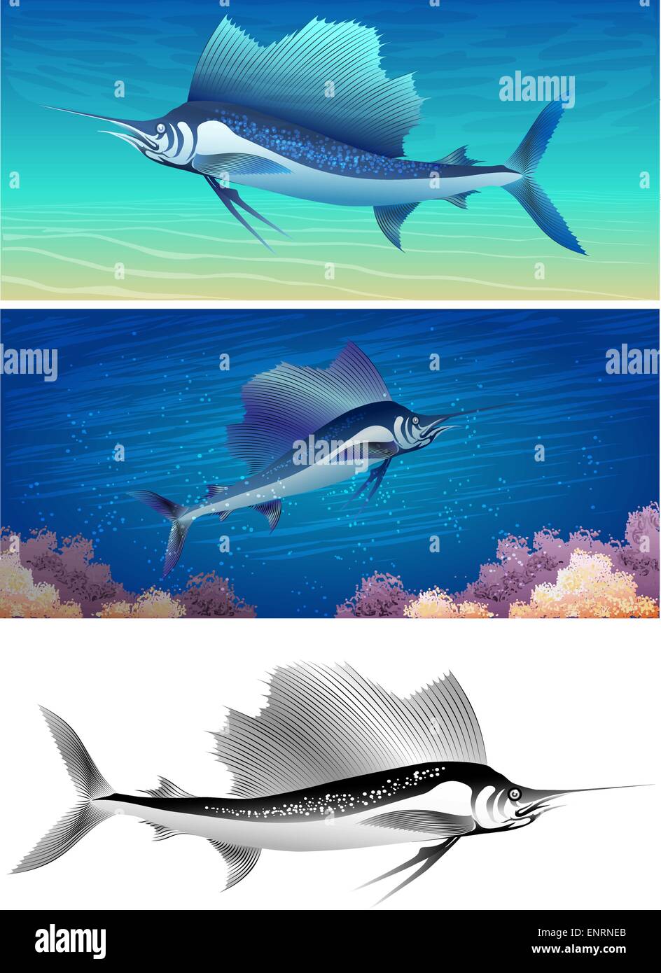 sailfish jumping drawing