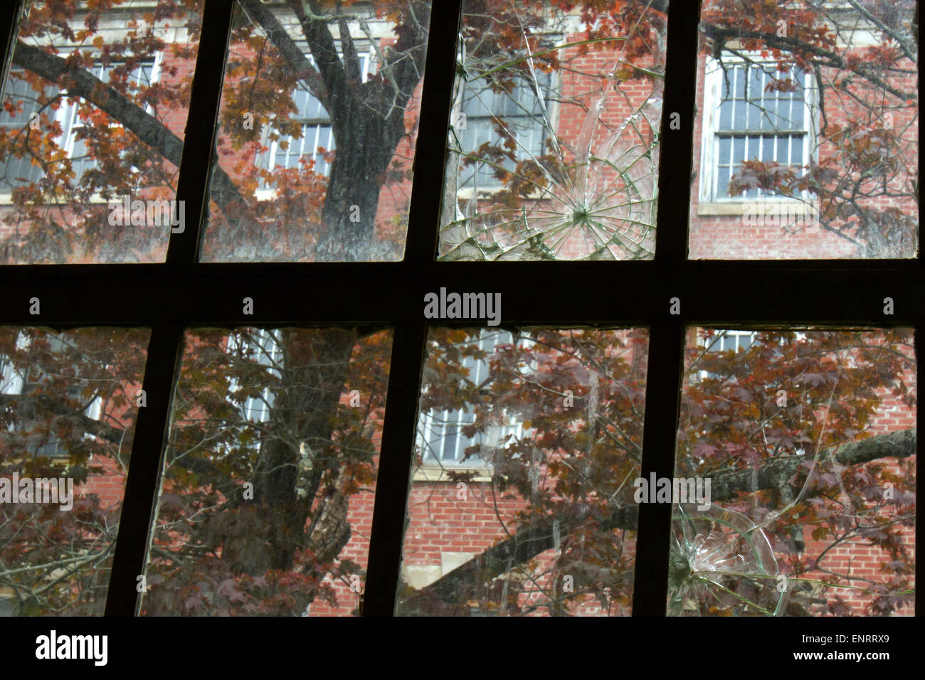 Broken glass on door window. Stock Photo