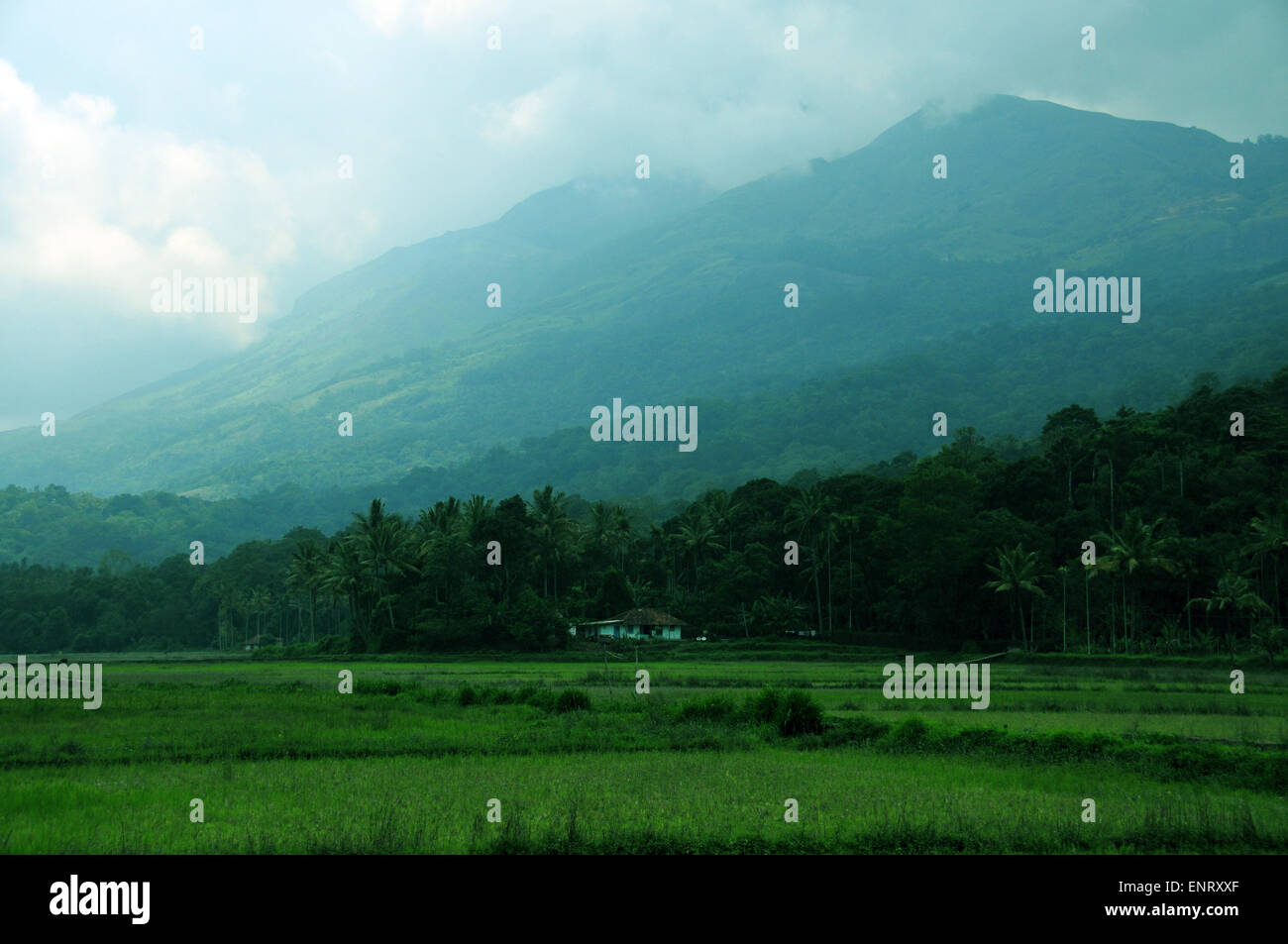 Beautiful kerala Hills Stock Photo