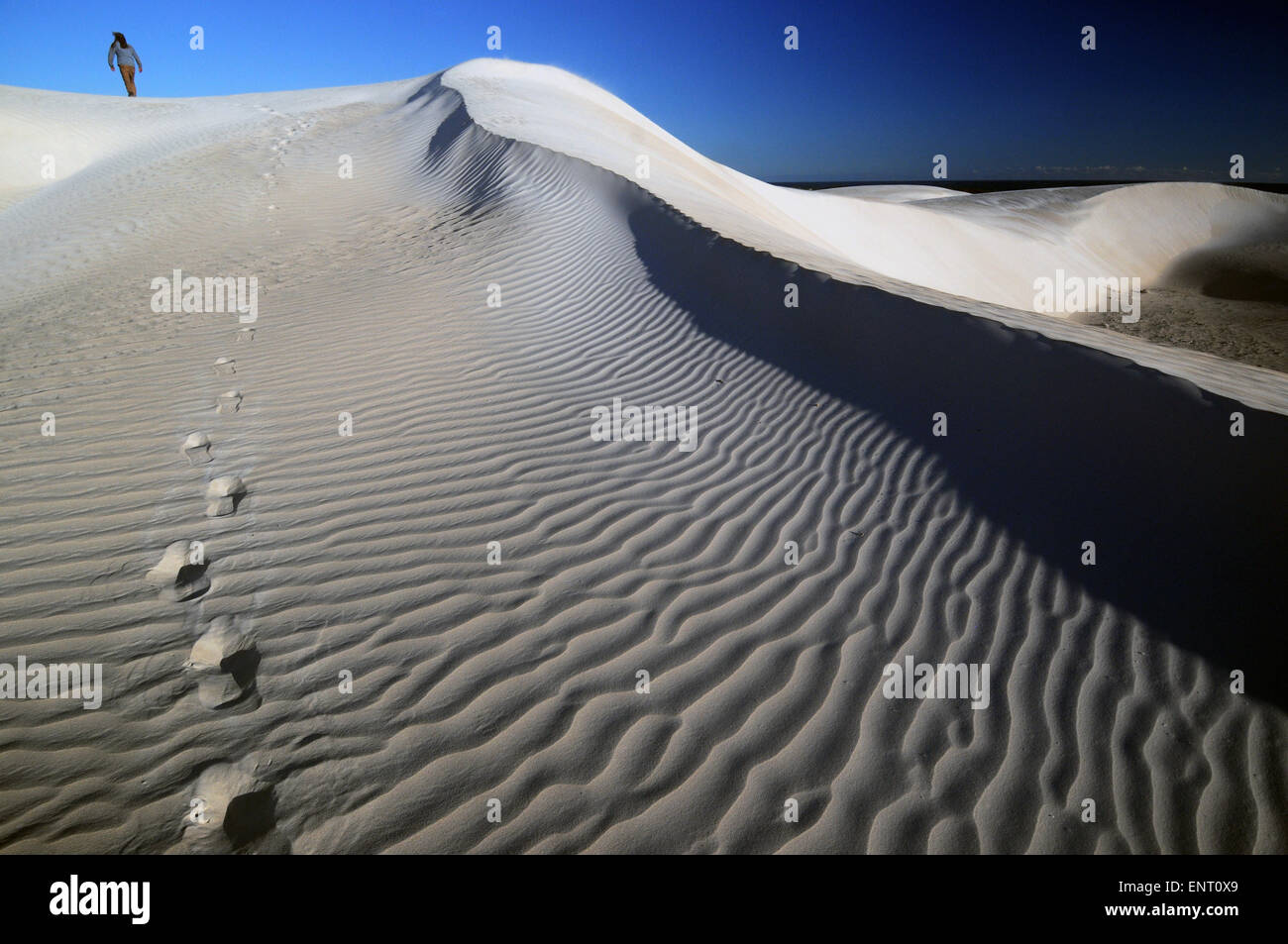 Footprints of person walking up wind-sculpted sand dune, Nambung National Park, Western Australia. No MR Stock Photo