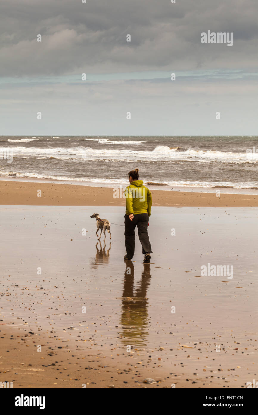 Dog walkers on a cold summers day, Seaham Beach, County Durham, UK
