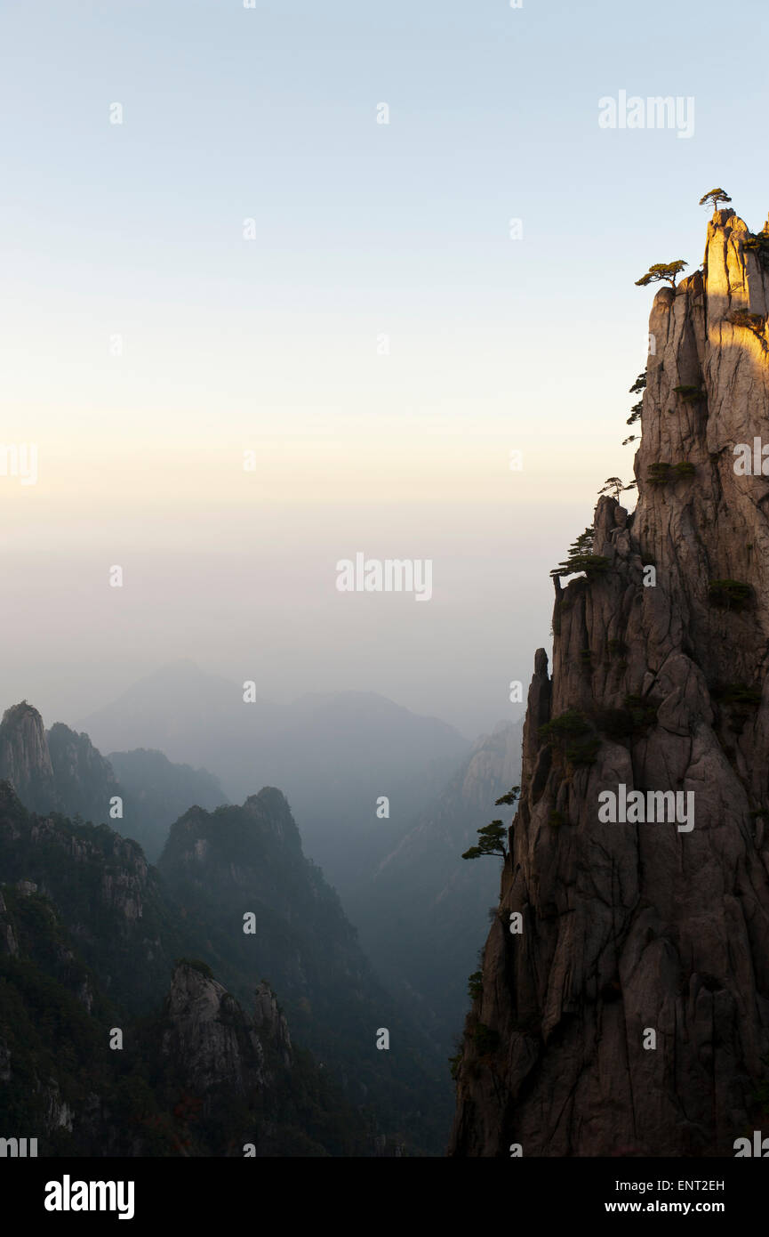 Fog, deep gorge, bizarre towering rocks and mountains covered with scattered trees, Huangshan Pines (Pinus hwangshanensis) Stock Photo