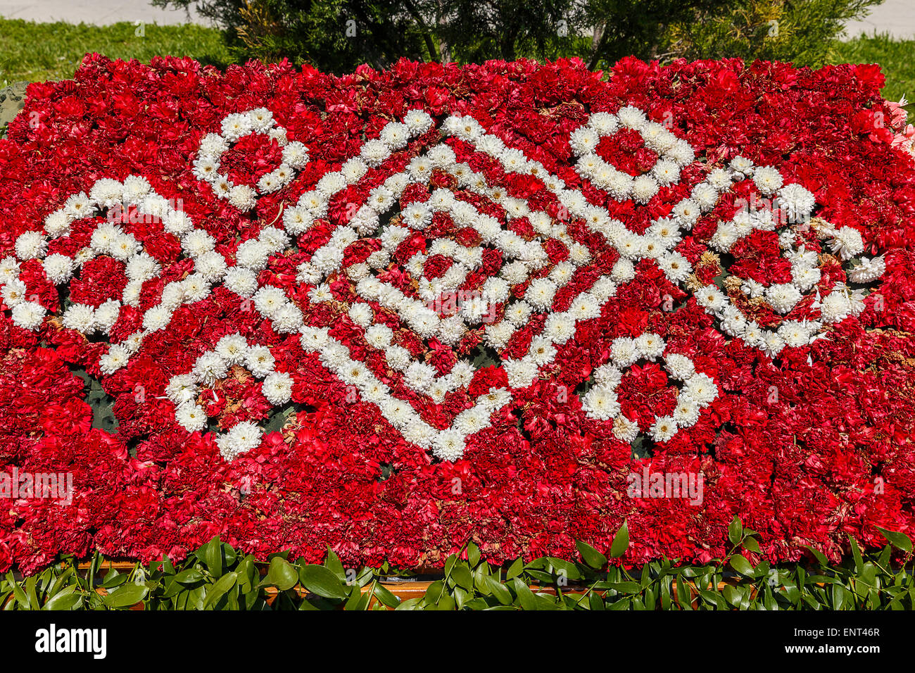 Installation of carnations on a flower festival in Baku Stock Photo Alamy