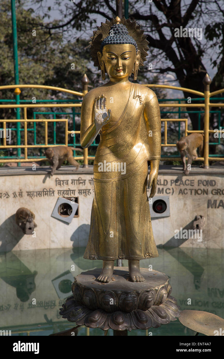Gold Buddhist Statue, Swayambhunath Monkey Temple, Kathmandu, Nepal