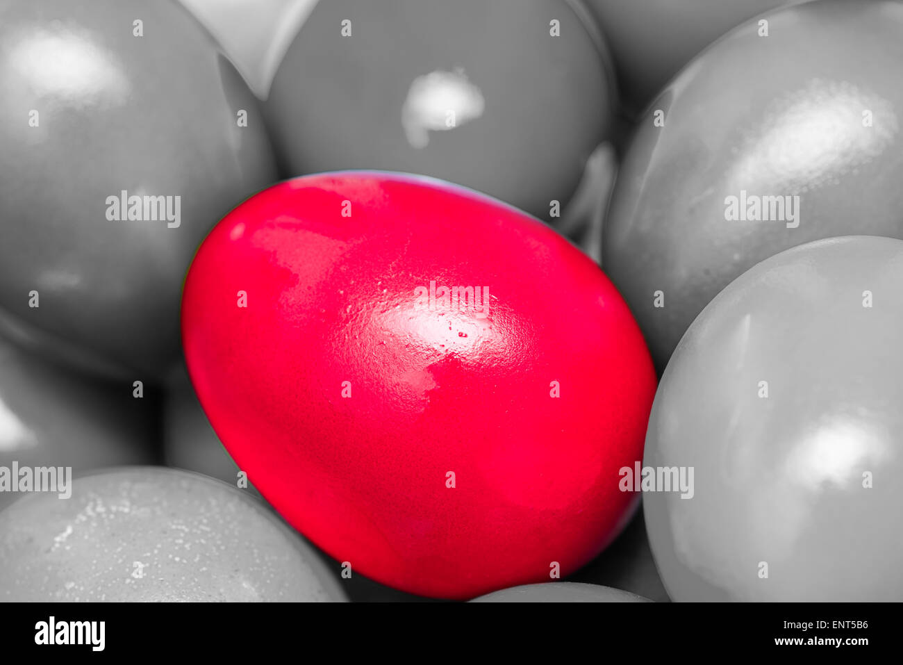 Red Easter Egg Stand Out From The Crowd Concept Stock Photo