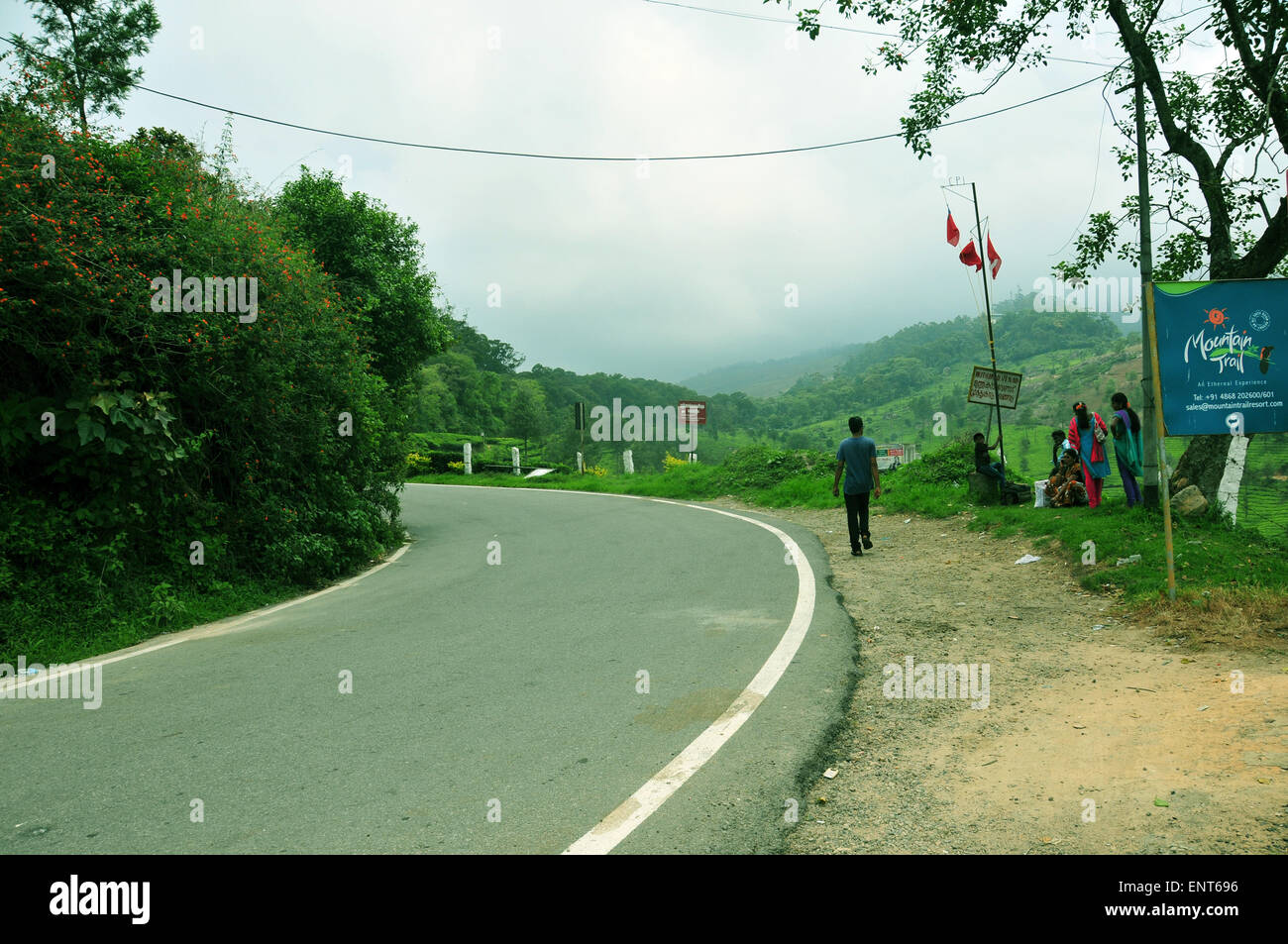 Plantation road hi-res stock photography and images - Alamy
