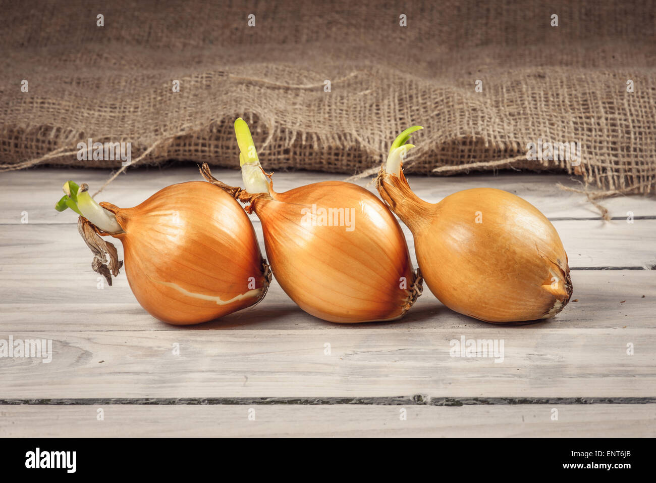 Onions on a row on a wooden table Stock Photo - Alamy