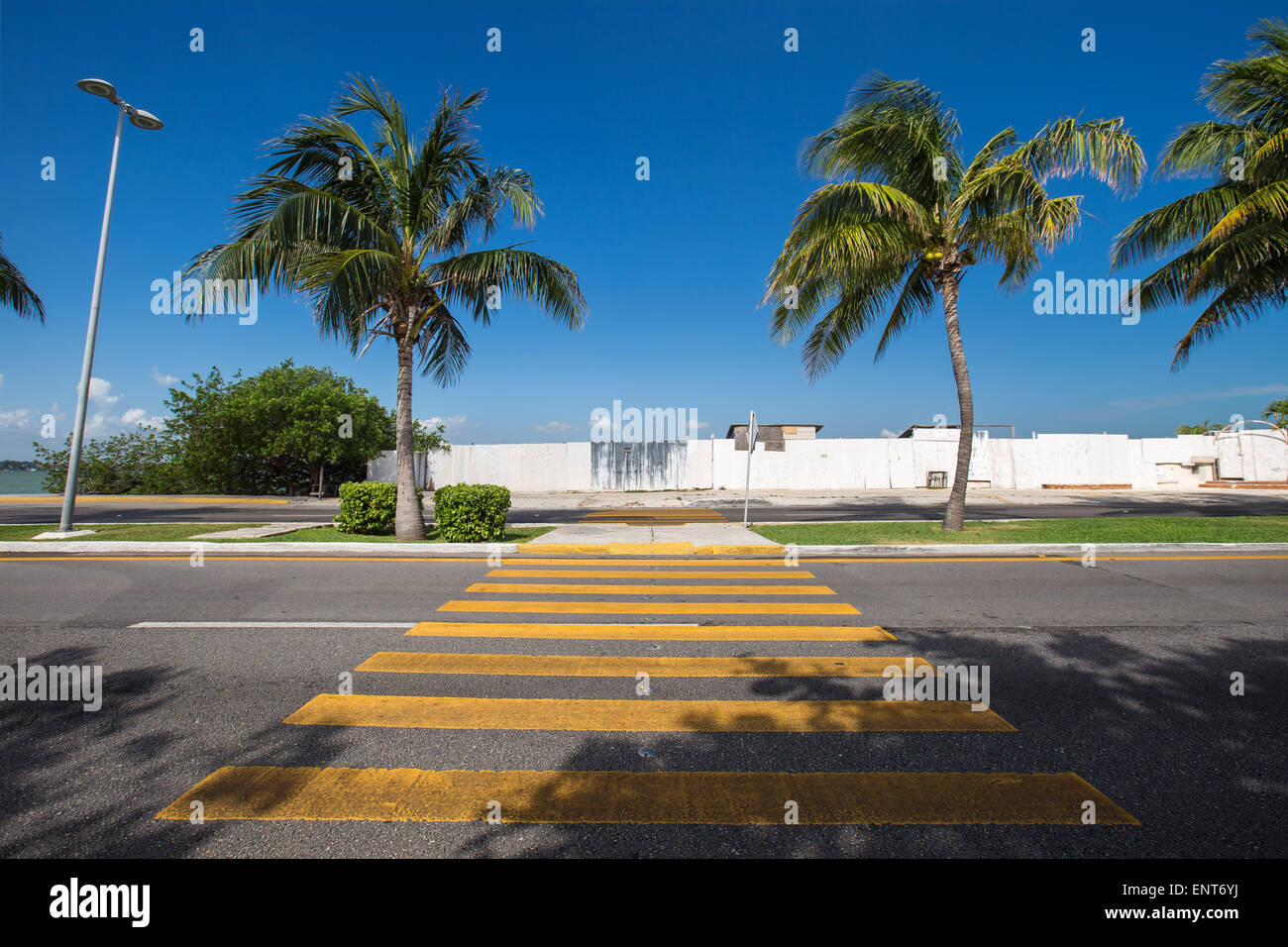 Pedestrian crossing on tropical street road Stock Photo - Alamy